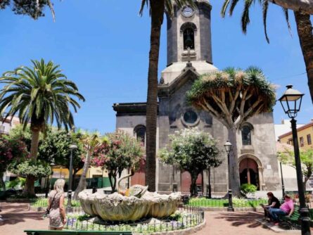 teneriffa-reisefuehrer-bilder-foto292 teneriffa reisefuehrer bilder foto292