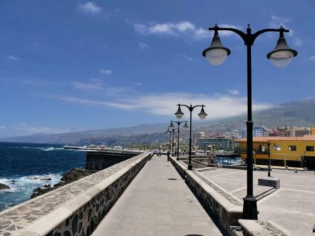 teneriffa reisefuehrer bilder foto317