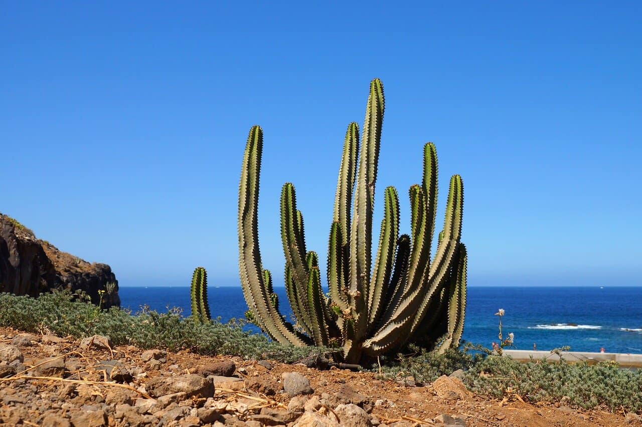 Top Buchempfehlungen fr Reisebegeisterte  Teneriffa